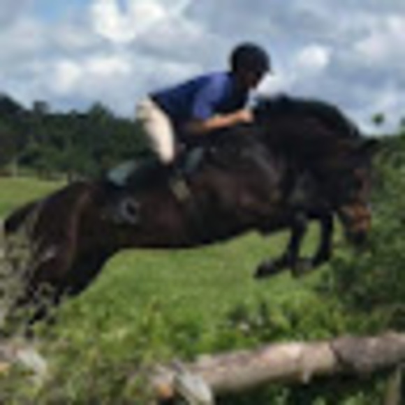 Meet your Posher, Gigi - Picture 1 of 1